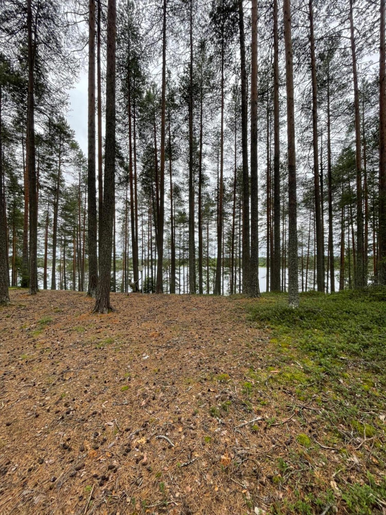 Laahtanen Camping Hotel Ristijärvi Eksteriør billede