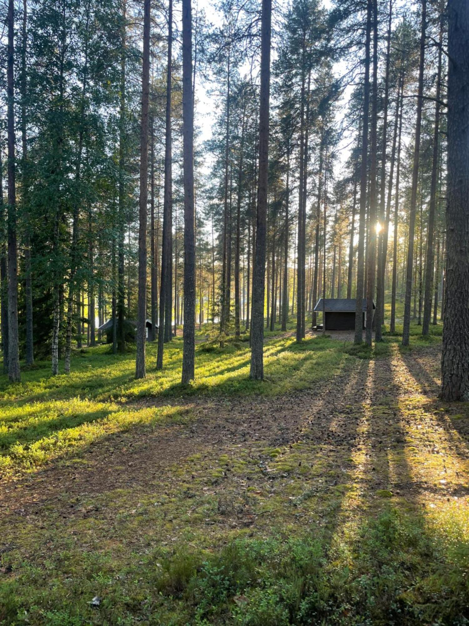 Laahtanen Camping Hotel Ristijärvi Eksteriør billede