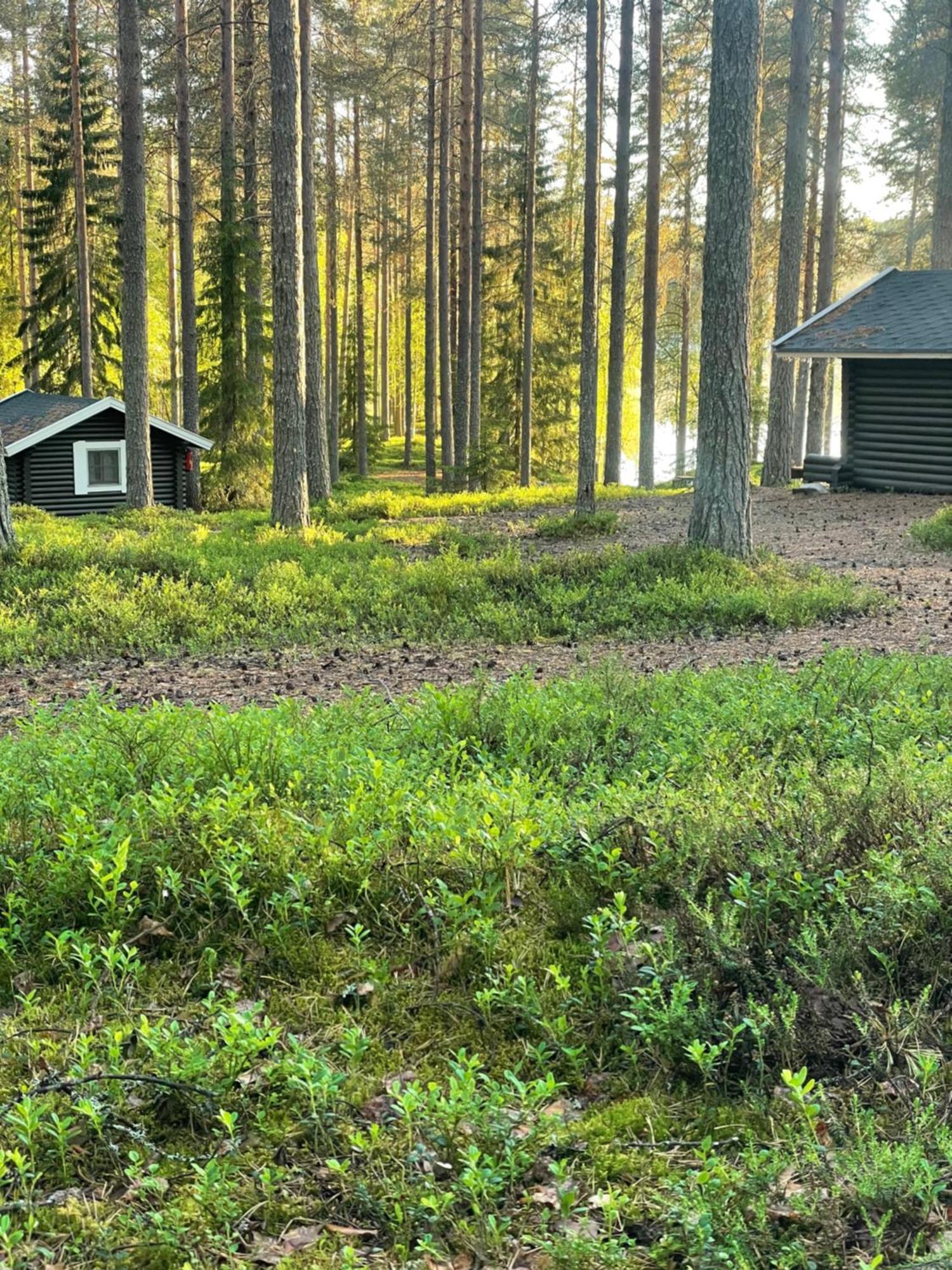 Laahtanen Camping Hotel Ristijärvi Eksteriør billede