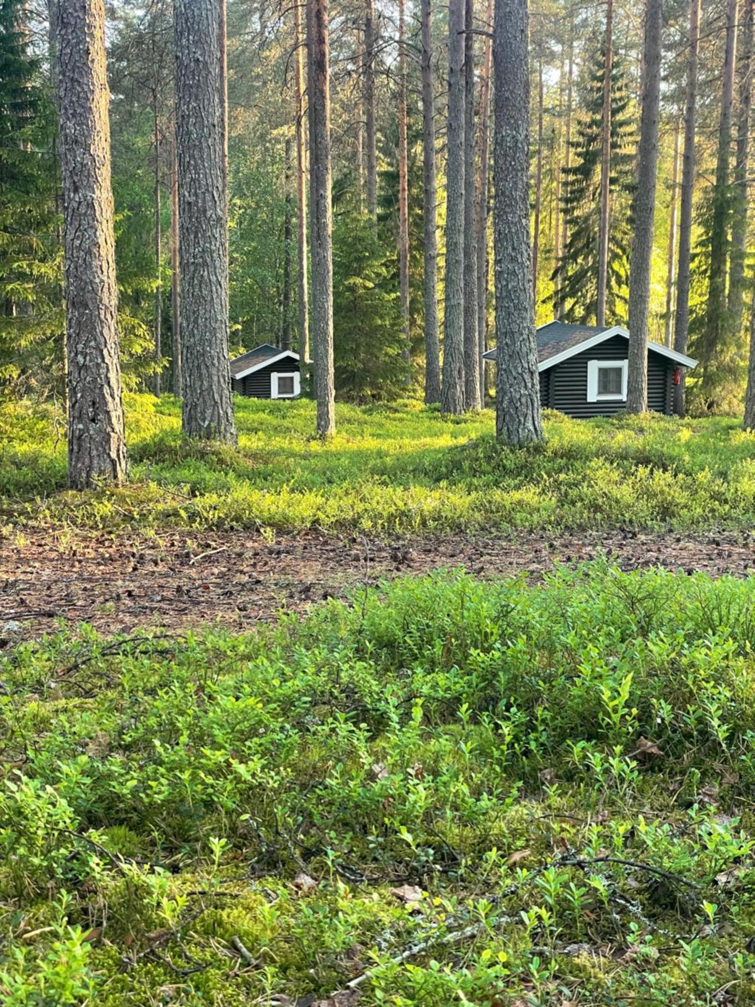 Laahtanen Camping Hotel Ristijärvi Eksteriør billede