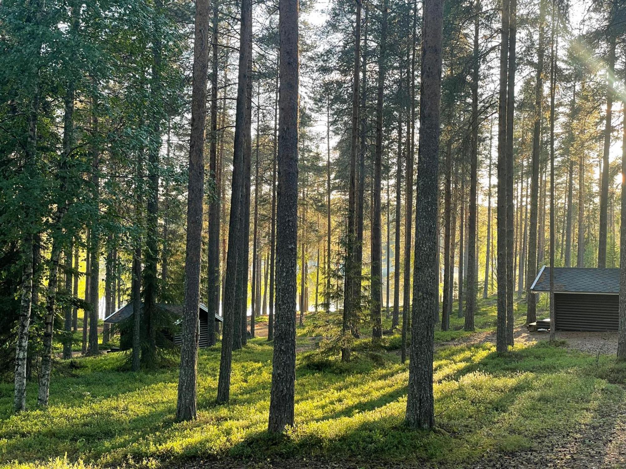 Laahtanen Camping Hotel Ristijärvi Eksteriør billede